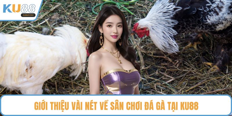 Giới thiệu vài nét về sân chơi đá gà tại KU88