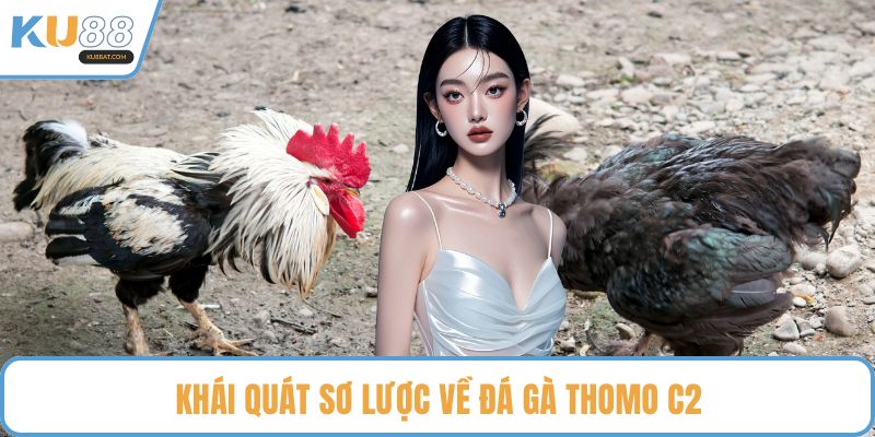 Khái quát sơ lược về đá gà Thomo c2